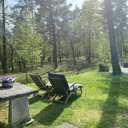 De Bosrand 404, Unieke Rustige Plek Met Veel Privacy Aan De Bosrand Op De Veluwe * Beekbergen