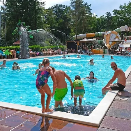 De Bosrand 404, Unieke Rustige Plek Met Veel Privacy Aan De Bosrand Op De Veluwe בקתה *