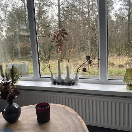 De Bosrand 404, Unieke Rustige Plek Met Veel Privacy Aan De Bosrand Op De Veluwe Chalet Beekbergen