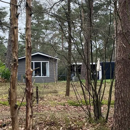 De Bosrand 404, Unieke Rustige Plek Met Veel Privacy Aan De Bosrand Op De Veluwe Chalet *