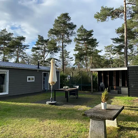 De Bosrand 404, Unieke Rustige Plek Met Veel Privacy Aan De Bosrand Op De Veluwe * Beekbergen