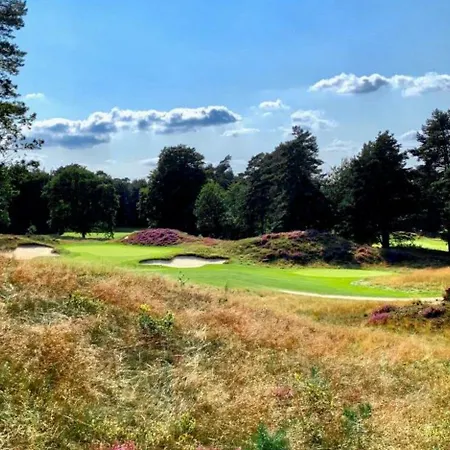 Chalet De Bosrand 404, Unieke Rustige Plek Met Veel Privacy Aan De Bosrand Op De Veluwe