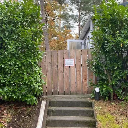De Bosrand 404, Unieke Rustige Plek Met Veel Privacy Aan De Bosrand Op De Veluwe شاليه