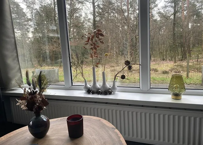 De Bosrand 404, Unieke Rustige Plek Met Veel Privacy Aan De Bosrand Op De Veluwe Alpstuga Beekbergen