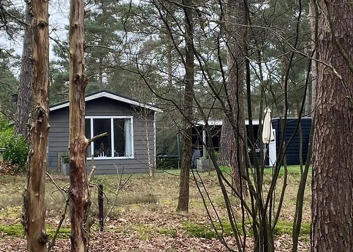 De Bosrand 404, Unieke Rustige Plek Met Veel Privacy Aan De Bosrand Op De Veluwe Alpstuga *