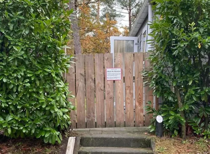 De Bosrand 404, Unieke Rustige Plek Met Veel Privacy Aan De Bosrand Op De Veluwe 木屋